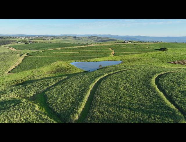 LAND FOR SALE IN MOUNT VERDE